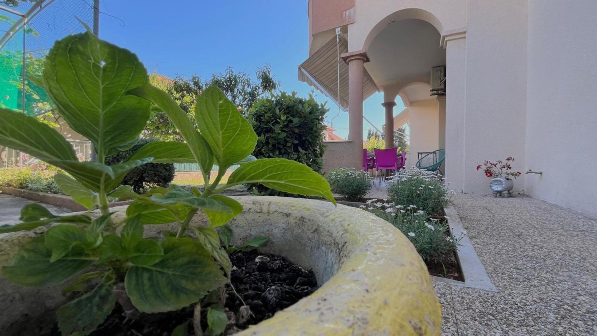 Apartmán Rotim Zadar